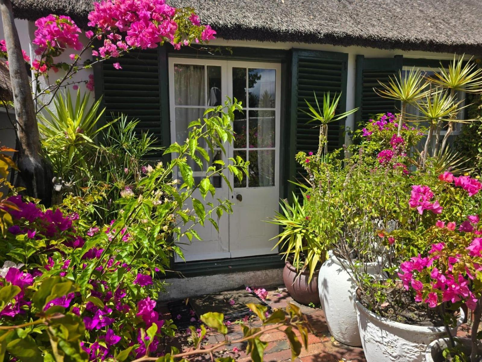 Ferienwohnung Meyerhof Kapstadt Exterior foto