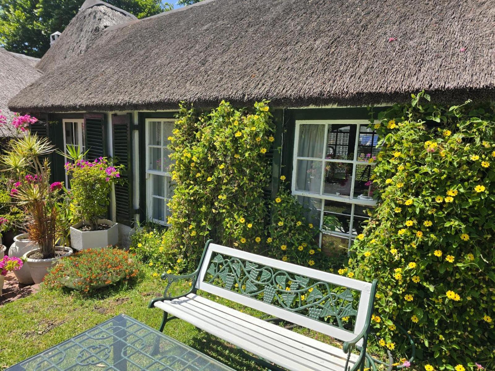 Ferienwohnung Meyerhof Kapstadt Exterior foto